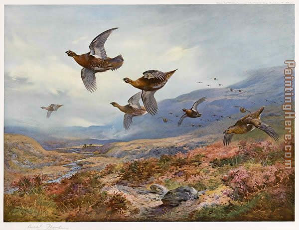 Grouse Over the Burn painting - Archibald Thorburn Grouse Over the Burn art painting